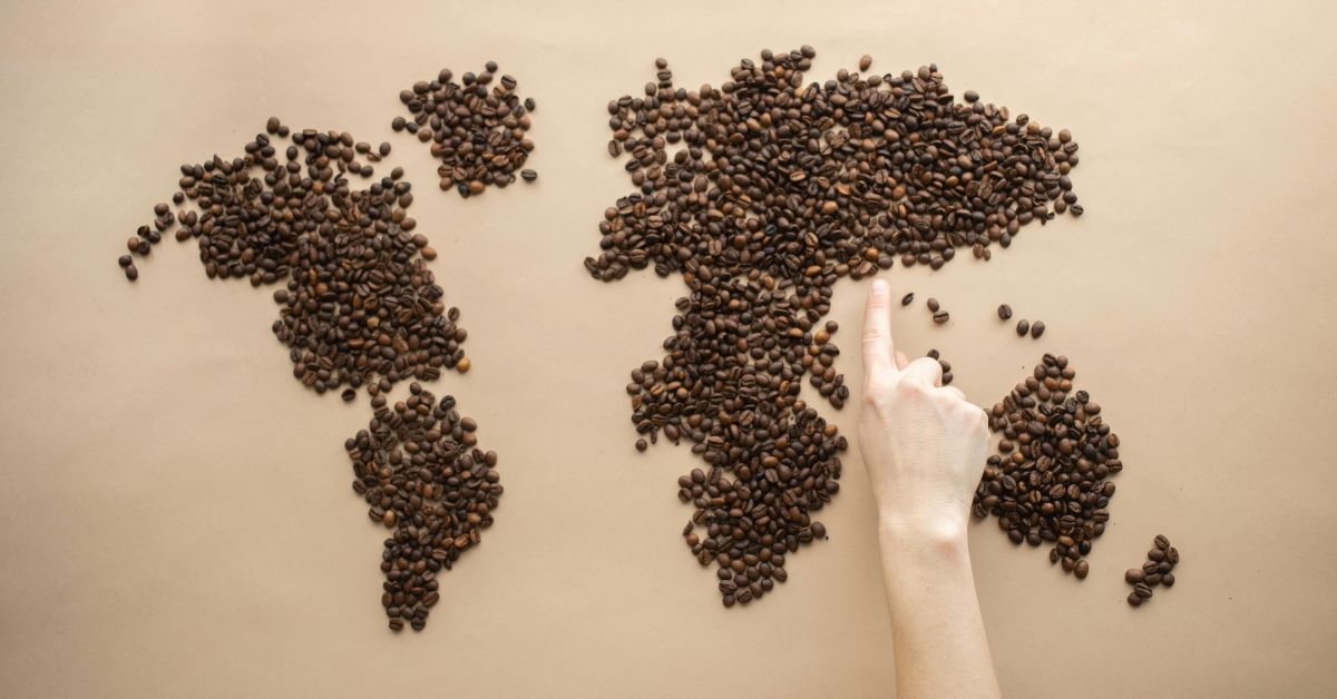 Crop person pointing at world map of coffee beans