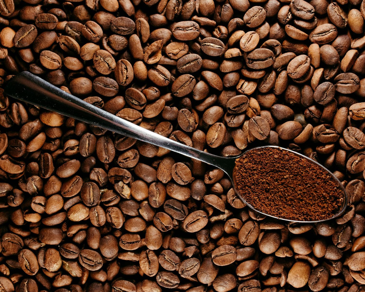 Coffee Beans with Spoon of Ground Coffee