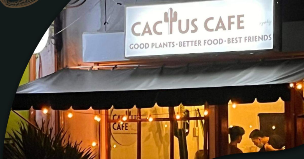 CACTUS CAFE by Yonyysky